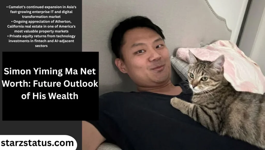 Future Outlook of His Wealth
