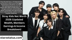 Stray Kids Net Worth 2026 (Updated Wealth, Members Earnings & Income Breakdown)